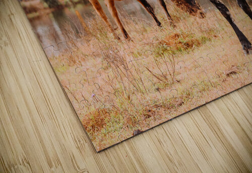 Stand Out From The Herd Kalei Sutton puzzle