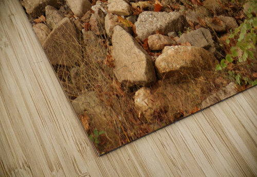 Lonely walk 4 Lorna Ruiz puzzle