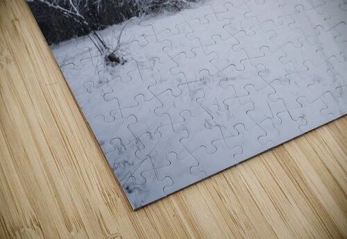 Snow days 2 Lorna Ruiz puzzle