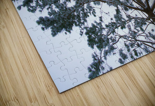 Tree 1  Lorna Ruiz puzzle