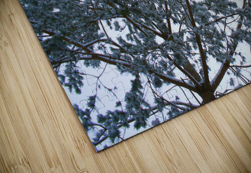 Tree 2 Lorna Ruiz puzzle