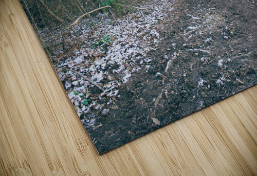 Lonely walk 9 Lorna Ruiz puzzle