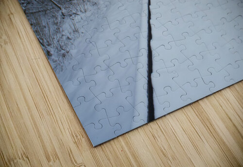  Snow days 3.1 Lorna Ruiz puzzle