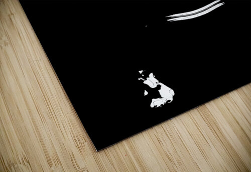 Look Photo ALP5 puzzle