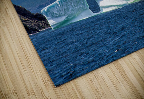 Crow Head Cove Iceberg CRB Images Photography puzzle