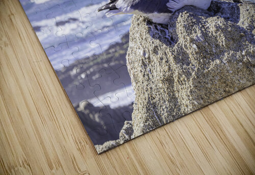 Big Sur Seagull April Kanschat puzzle