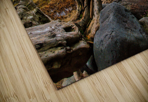 Morning At Filberg Park CRB Images Photography puzzle