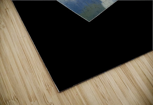 The Nine O Nine:  B-17 Flying Fortress print Steven Heyen puzzle