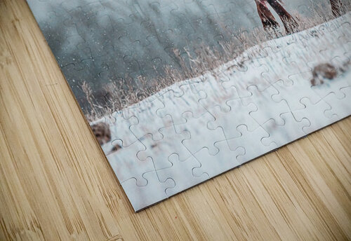 The Cold Walk Home Susan Diann Photography puzzle