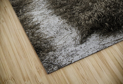  DSC9166   snowy barn small Phillip A Snider Photography puzzle