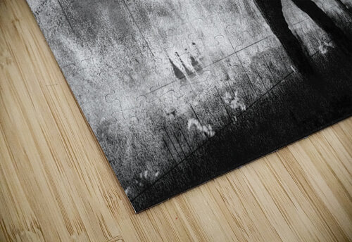 Fighting Wildfire Abhijeet Shrivastava puzzle