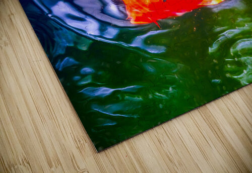 Bubbles Kyle Arrowood puzzle