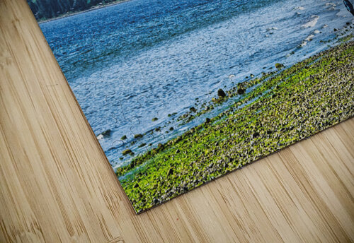 Enjoying The Day CRB Images Photography puzzle