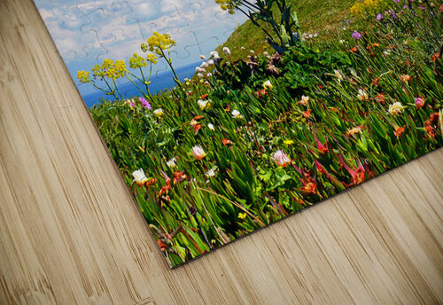 Caba da Roca CRB Images Photography puzzle