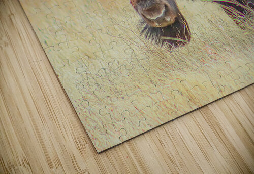 Breezy Susan Diann Photography puzzle