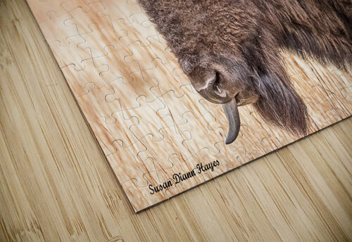 The Pompadour  Susan Diann Photography puzzle