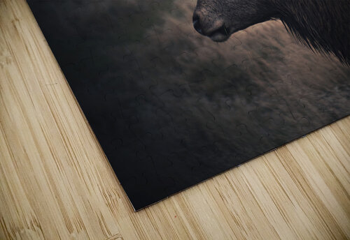deer Vibrant Canvases puzzle