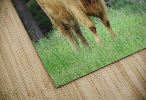Scottish Bull - large landscape Images That Speak puzzle