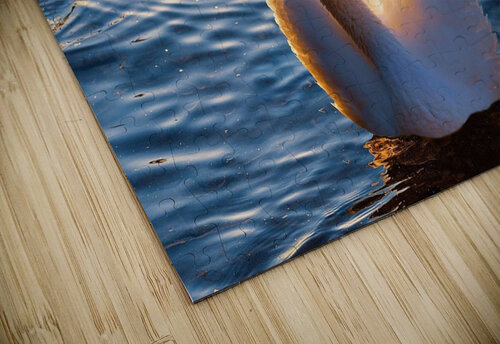 659 mohamed elabari puzzle