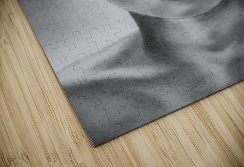 Hope 14x20 Abhijeet Shrivastava puzzle