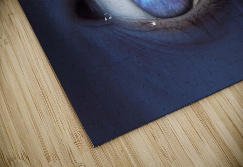 eyes Vibrant Canvases puzzle