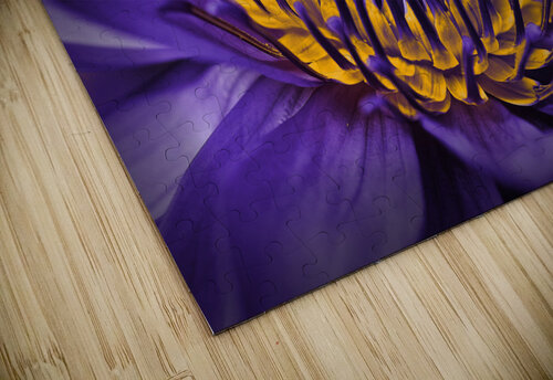 purple lily Vibrant Canvases puzzle