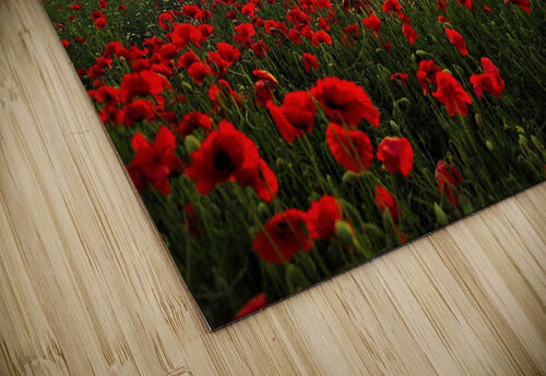 734 mohamed elabari puzzle