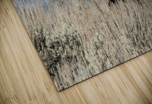 DSC 1165 20x30 Phillip A Snider Photography puzzle