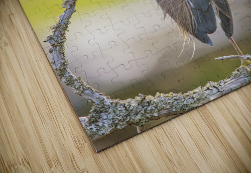 Tricolored Heron - T. Rossevelt Nature Trail Robert Decker puzzle