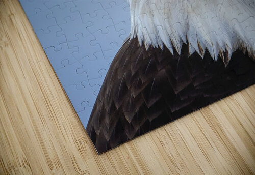Homer AK Eagle Dave Veith puzzle