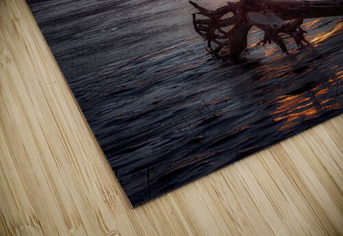 Dragon Sunset Dave Veith puzzle