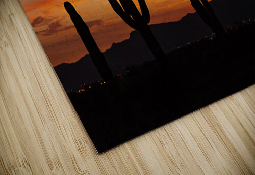 Az Cactus  Sunset Rachael Robinson  puzzle