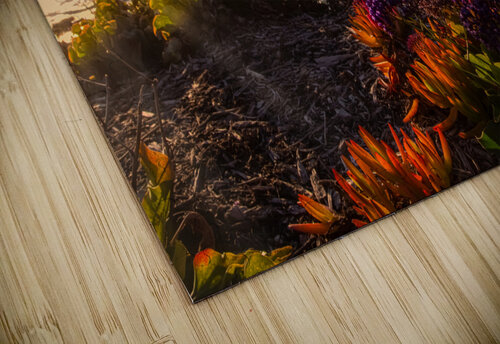 Flower Sunset Rachael Robinson  puzzle