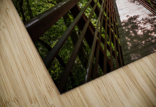 Westfork Az Rachael Robinson  puzzle