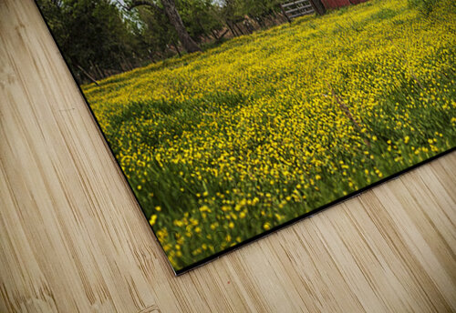 Red Barn in a Field of Yellow Flowers Robert Decker puzzle