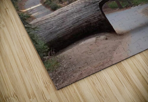 Tunnel Log Sequoia National Park Anitra K Acuna puzzle