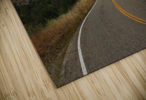 Elwood Rd. Anitra K Acuna puzzle