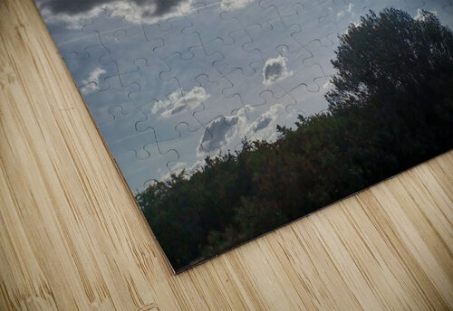 SunBird Anitra K Acuna puzzle