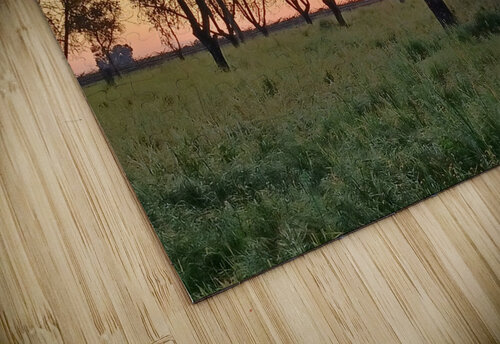 Sunset with Trees Anitra K Acuna puzzle
