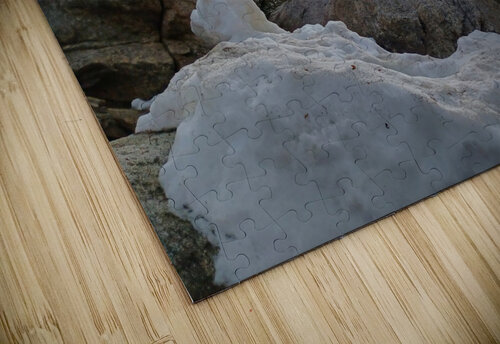 Sequoia Snow Anitra K Acuna puzzle