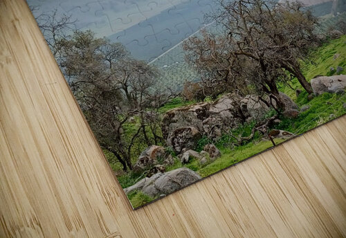 Above the Fog Anitra K Acuna puzzle