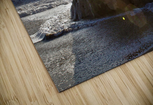 Garrapata Beach Anitra K Acuna puzzle