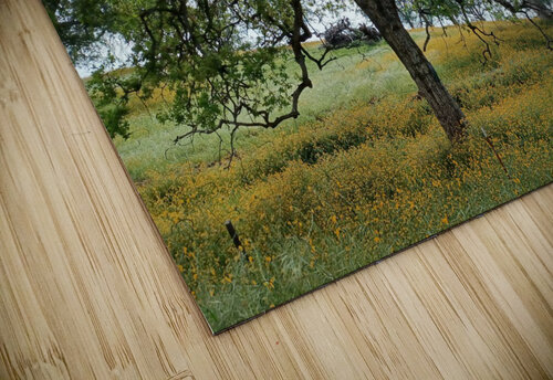 Foothill Spring Anitra K Acuna puzzle