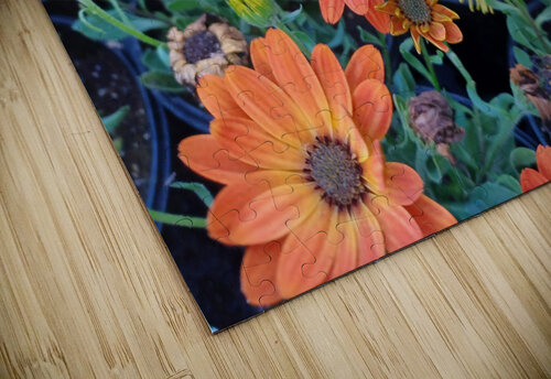 20220331 185238 Anitra K Acuna puzzle