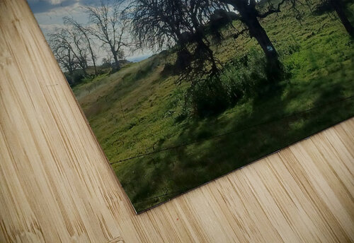 Foothills and Trees Anitra K Acuna puzzle