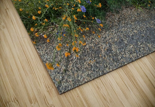 Foothill Spring Anitra K Acuna puzzle