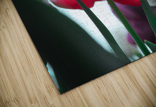 In Bloom in Pastels Susan Diann Photography puzzle