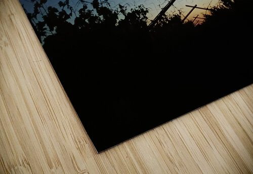 Sunset in the Grape Vines Anitra K Acuna puzzle