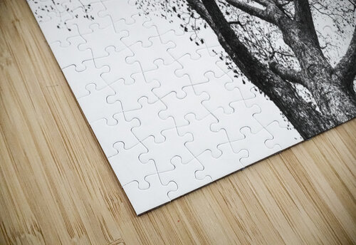 Looking Up - Branching Out - Oak Tree Abstract Robert Decker puzzle