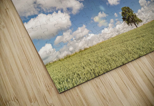 Lonely Tree caladoart puzzle